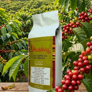 Café Especial Geisha Origen Huila 500 g